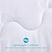 HOMBYS Lightweight Queen Goose Down Alternative Quilted Comforter Queen Size - All Season Plush Microfiber - Machine Washable Duvet Insert- Warmth Hypoallergenic Bed Comforter(Full/Queen,White)