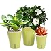 Vencer Self Watering Planter (3 Pack) Modern Decorative Planter Pot for All House Plants Flowers, Herbs,African Violets,Succulents,Green,VF-066G