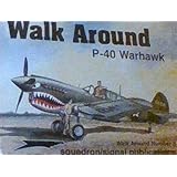 P-40 Warhawk - Walk Around No. 8