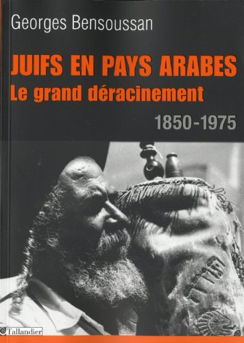 Download la fin des juifs en terre d'islam