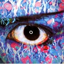 51p8qEZMKtL._AC_UL210_SR210,