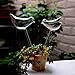 2pcs Bird Shape Hand Blown Clear Glass Self Watering Durable Mini Transparent Bird Shape Plant Watering-Siyaglass