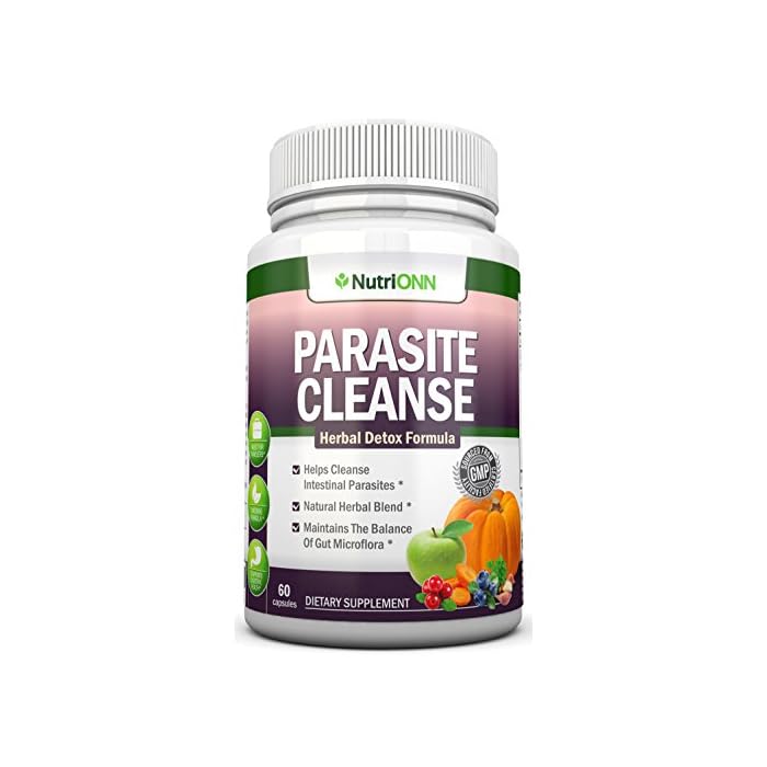 Buy NATURAL PARASITE CLEANSE FOR HUMANS All Natural Herbal Detox