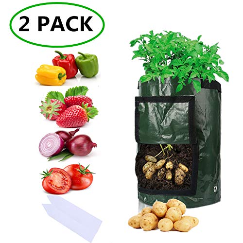 Sfee 2 Pack 10 Gallon Potato Grow Bags, PE Durable Aeration Pots Planters Bag with Handles Access Flap for Garden Farm Vegetable Carrot Onion Tomato Taro Radish Peanut +2 Waterproof Labels