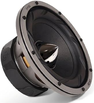 dual 300 watt subwoofer