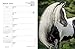 Gypsy Vanner Horse 2016 Engagement Calendar