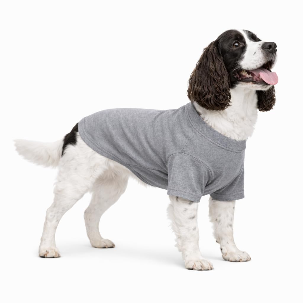 Lovelonglong Pet Clothing Dog Costumes Basic Blank T-Shirt Tee Shirts for Medium Large Dogs Gray XXL+