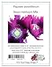 100 Poppy Flower Seeds. Papaver somniferum. Gorgeous Neon Heirloom Poppies by One Stop Poppy Shoppe.