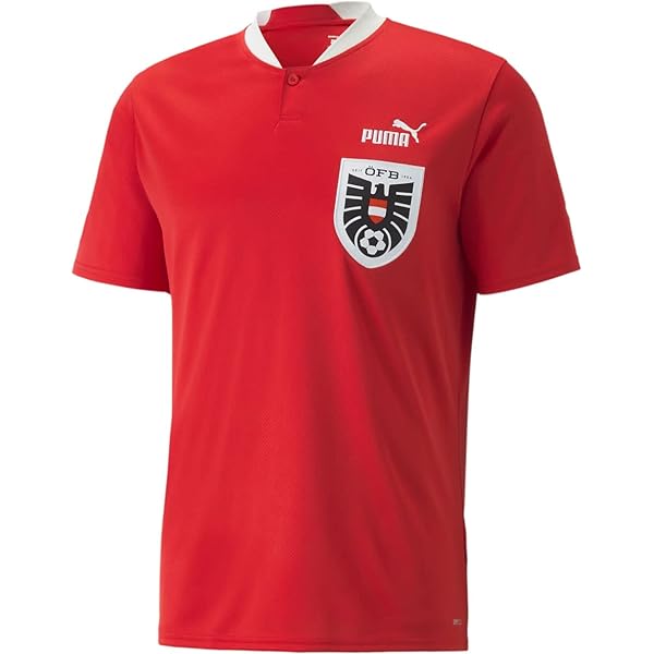 Amazon.com: PUMA PSV Eindhoven 23/24 Men's Home Jersey (as1