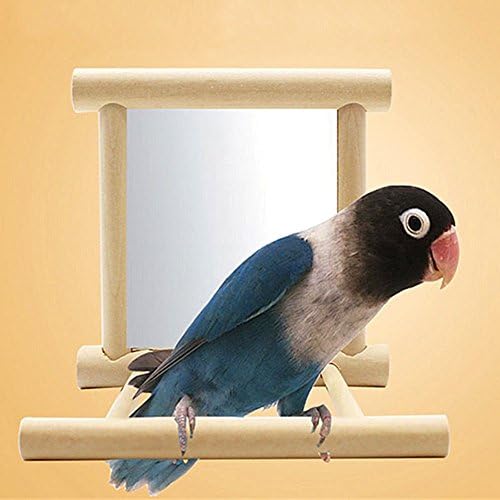 XMSSIT Parrot Cage Perch, Bird Swing Toys with Mirror for Parakeet Cockatoo Cockatiel Conure Lovebirds Canaries