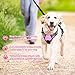 Rabbitgoo Dog Harness No-Pull Pet Harness Adjustable Outdoor Pet Vest Reflective Vest Harness for Large Dogs (Pink, L)
