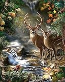 Diamond Painting by Number Kit, LPRTALK Adults Children 5D DIY Diamond Painting Animal Full Round Drill Watching Deer Embroidery for Wall Decoration 12X16 inches (Full Drill)