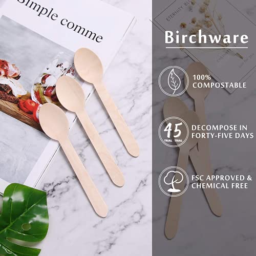 HLSN Packaging Box Disposable Wooden Spoons 100 Pieces, 100 Natural