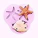 ELINKA Sea Life Stlye Silicone Candy Chocolate Clay Gumpaste Sugar Cake Decorating Craft Fondant Starfish Tools
