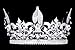 4.5'' Tall Fleur-De-Lis King Royal Full Crown - Silver Plated Clear Crystals T1010
