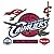 NBA Team Logo Wall Decal