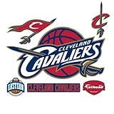 NBA Team Logo Wall Decal