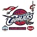 NBA Team Logo Wall Decal