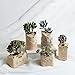 YOURNELO Crude Pottery Cute Animal Plant Flower Pot Succulent Planters Vase (Cat 1)