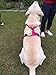 SGODA Dog Harness, Large, Fuchsia