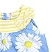 Gerber Baby Girls 3 Piece Dress Set, Daisies, 12 Months