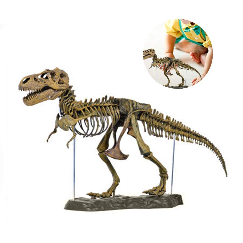 dinosaur toy skeleton