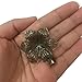 6PCS Assorted Vintage Hair Clips Pins Butterfly Dragonfly Flower Feather