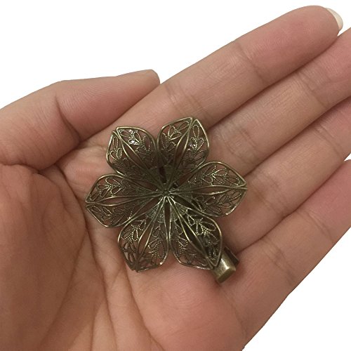 6PCS Assorted Vintage Hair Clips Pins Butterfly Dragonfly Flower Feather