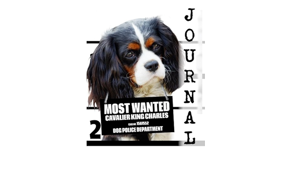 Most Wanted Cavalier King Charles Journal Diary Notebook Dog Journal Notebook Diaries Publishing Ironpower Amazon Com Books