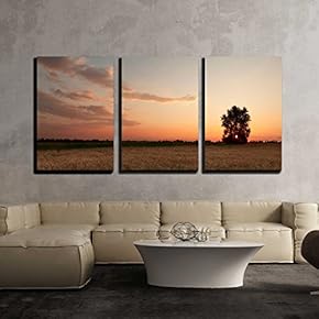 3 Piece Canvas Wall Art - Sunset with Moon and Clouds Sky in a Wheat Field with Lonely Tree - Modern Home Art Stretched and Framed Ready to Hang - 16"x24"x3 Panels