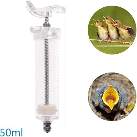 Amazon Com Professional Parrot Baby Bird Feeder Acrylic