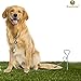 SunGrow Dog Tie Out Leash Stake for Ground, Heavy-Duty Anchor Stake for Leash, 360° Stainless Steel Swivel Ring, In-ground Outside Yard Leash Cable, Dog Yard Stake for Camping & Beach, Outdoor Tether