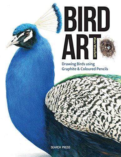 Bird Art: Using Graphite and Coloured Pencils