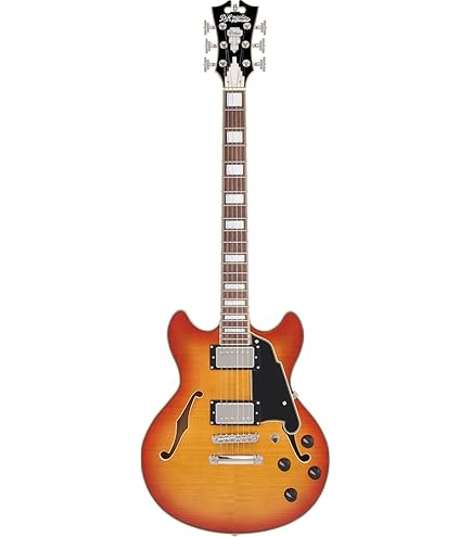 Amazon.com: D'Angelico Excel SS Semi-hollowbody Electric Guitar