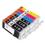 Sophia Global High Yield Compatible Ink Cartridge Replacement for Canon PGI-250XL CLI-251XL (Pack of 6: 2 PGI-250XL Large Black, 1 CLI-251XL Small Black, 1 Cyan, 1 Magenta, 1 Yellow)