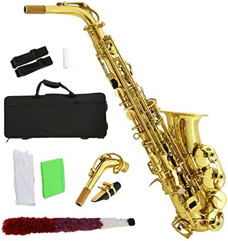 Professional Eb Alto Sax Saxophone School Paint with Case Mouthpiece Carekit