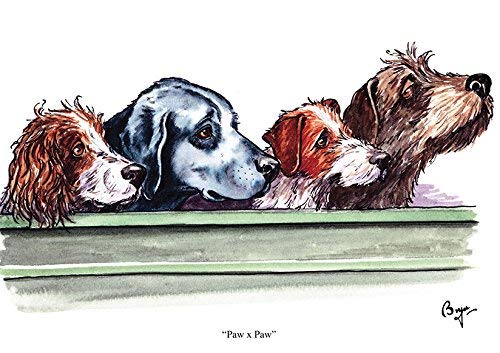 Bryn Parry Paw x Paw dog greeting card