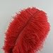 Sowder 10pcs Ostrich Feathers 12-14inch(30-35cm) for Home Wedding Decoration(red)