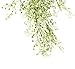 Miracliy 2.6FT Artificial Hanging Vine String Plant Garland Fake Flowers Greenery Plants for Home Garden Wall Decoration, Pack of 2 (White)