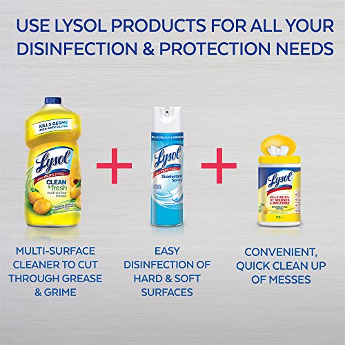LYSOL® All Purpose Cleaner Pourable Sparkling Lemon & Sunflower