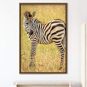 signwin Framed Canvas Wall Art Zebra Animals Dramatic...