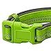 Blueberry Pet Soft & Safe 3M Reflective Neoprene Padded Adjustable Dog Collar - Green Flash, Large, Neck 18