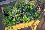 VegTrug 8 Pocket Herb Planter Natural – Raised Bed for Herbs view 11