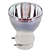 EWOS Projector Lamp Replacement Bare Bulb for Optoma Projectors Bulb HD141X HD26 GT1080 W316 DH1009 H182X S316 X316