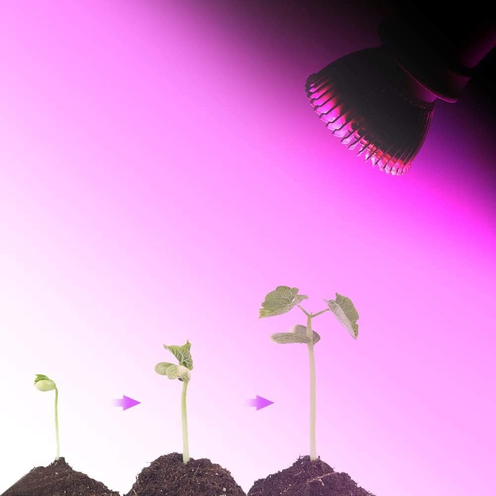 Lang boss 8W Color Light Growing Bulb Full Spectrum E27 Base LED Grow Bulb Light for Hydroponics Greenhouse Lghting Plants Growing Flowering Fruiting - Image 3