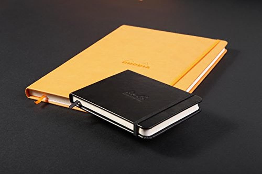 View 4