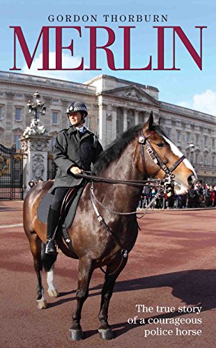 Merlin The True Story Of A Courageous Police Horse Gordon - 
