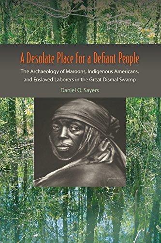 A Desolate Place for a Defiant People: The Archaeology of Maroons, Indigenous Americans, and Enslaved Laborers in the Great Dismal Swamp (Co-published with The Society for Historical Archaeology)