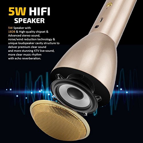 Wireless Karaoke Microphone, Handheld Bluetooth Speaker Player Recording Machines for Kids Adult Music Singing Playing, Home KTV Usb Karaoke System Support IPhone/Android/IOS/Smartphone