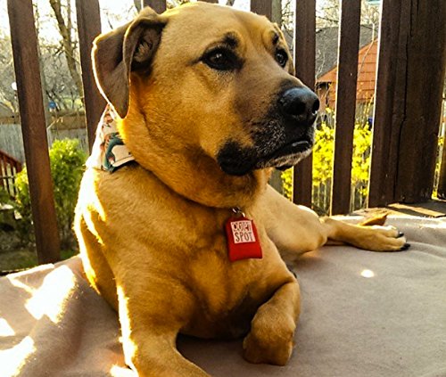 Quiet Spot Pet Tag Silencer (Black)